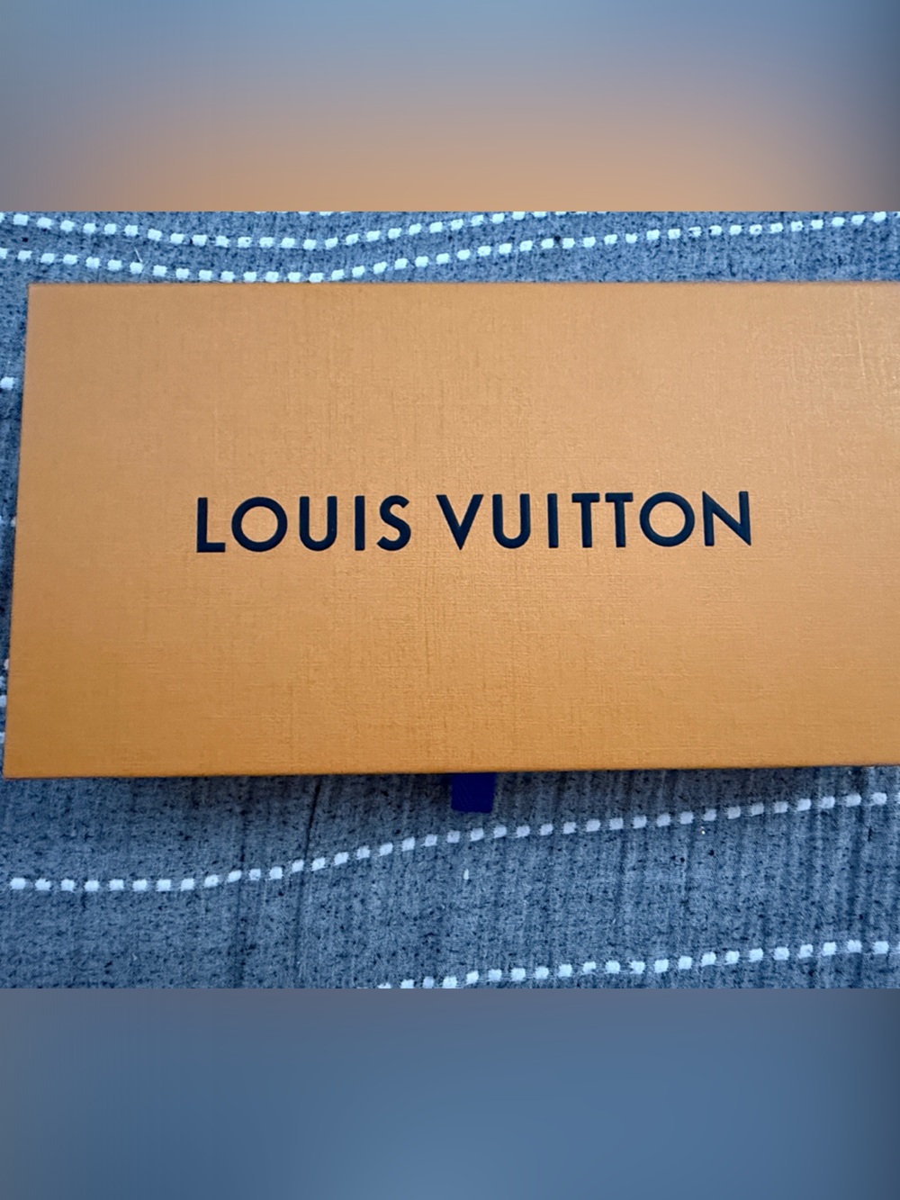 Louis Vuitton Men's Jeans - Blue